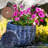 Kellor Ceramic Pot Planter-1225607198-1225607199