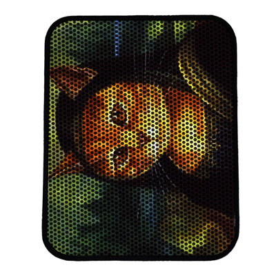 Premium Cat Litter Mat, 18 x 24 inches | 50% PVC / 50% Polyester, Machine Washable & Vacuum Friendly | Durable, Easy-Clean Design for Pet Owners | Protect Your Floors from Litter Messes