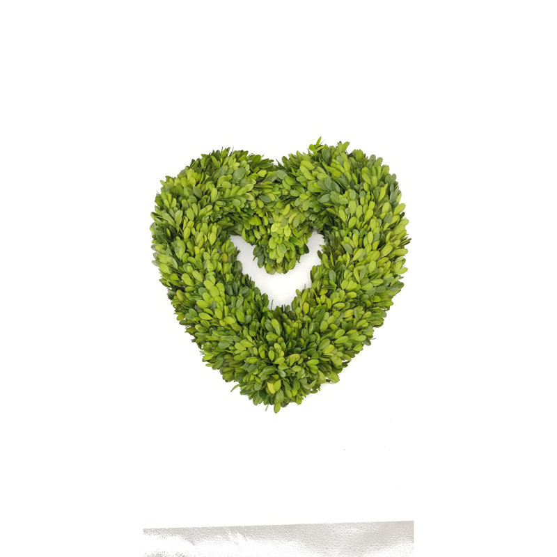 Preserved Boxwood 15 " Wreath