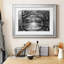 Oak Alley Reflection - photographie de cadre-862675878-862675880