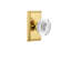 Studio Plate with Crystal Egg & Dart Knob-1921011436