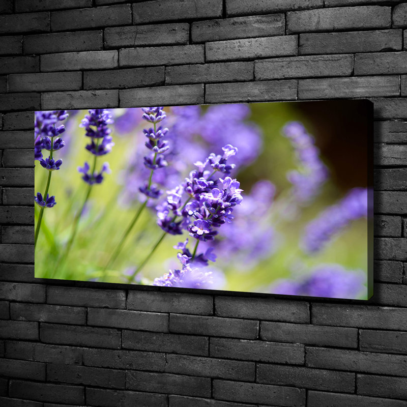 Lavender - Wrapped Canvas Print