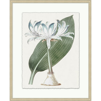 Achromatic Fleur 3 Print