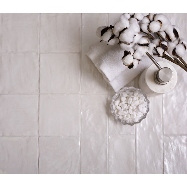 38 pack 2.5 in. x 8 in. Polished and Honed Ceramic Subway Wall Tile (5.38 sq. ft./Case)