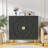 Accent Cabinet-2015922981