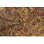 Hand-Knotted Pre-1900 Antique Tribal Vegetable Dye Rug 4x5