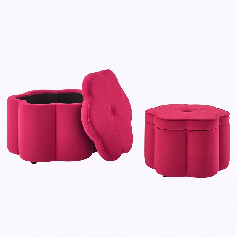 Ensemble de 2 repose-pieds avec rangement, Rose
