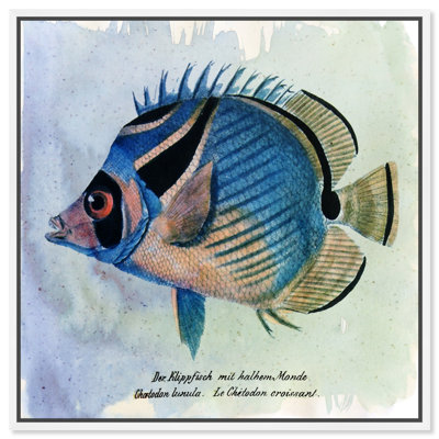 Croissant Fish Left Marine Life - Graphic Art on Canvas