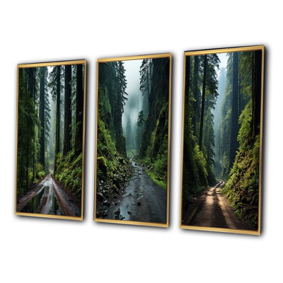 États-Unis, Redwood National and State Park - Ensemble 3 pièces
