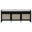 Shoe Bench (Black)-133042407-133042408