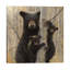 Mama Bear by Collin Bogle - Wrapped Canvas Print-661577750