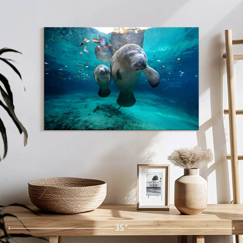 Brampt Manatee And Calf, 8" H x 12" W