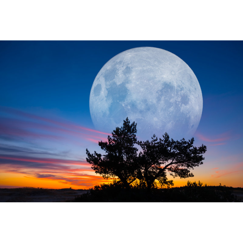 Full Moon Rising - Wrapped Canvas Print, 51cm H x 76cm W x 3.8cm D