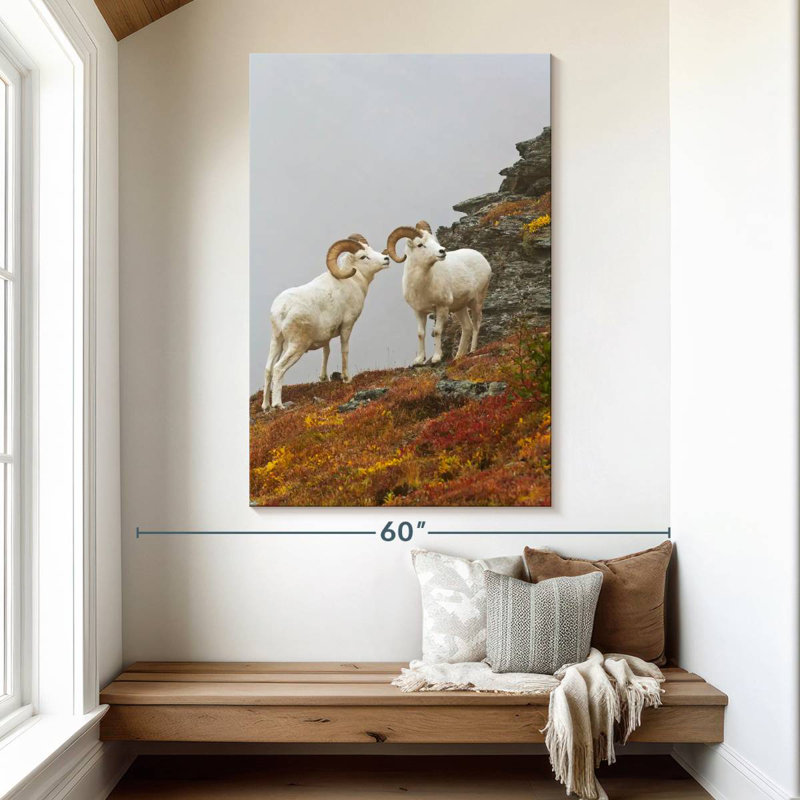 White Bighorn Sheep, 51" H x 34" W