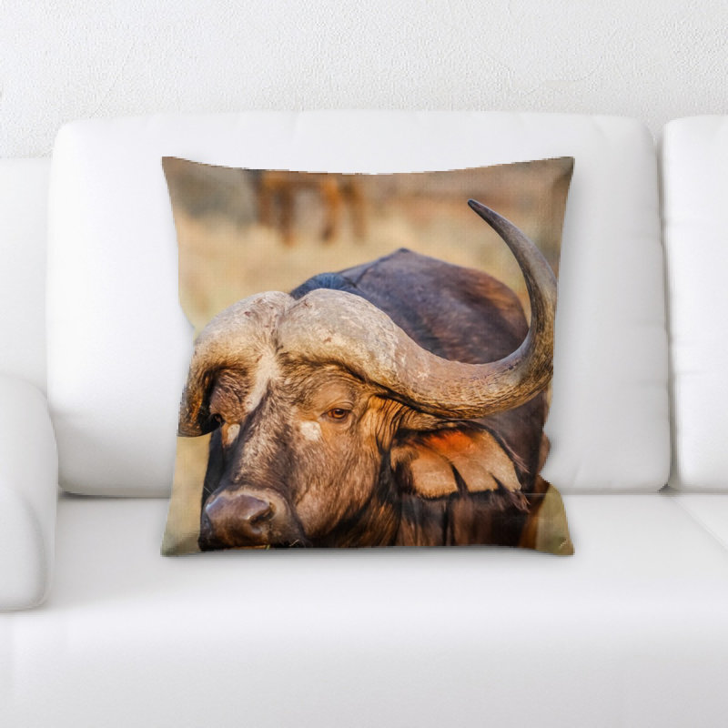 Coussin de mammifère