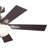 52'' Ceiling Fan with LED Lights-1614424766
