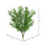 Mini tige artificielle Cassiel Smilax
