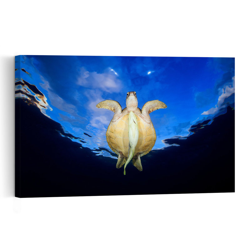 Turtle Soaring Blue Sky Peaceful Serene Tranquil Turtle Nature Ocean Wall Art Print 1 Piece Wrapped Canvas Wall Art