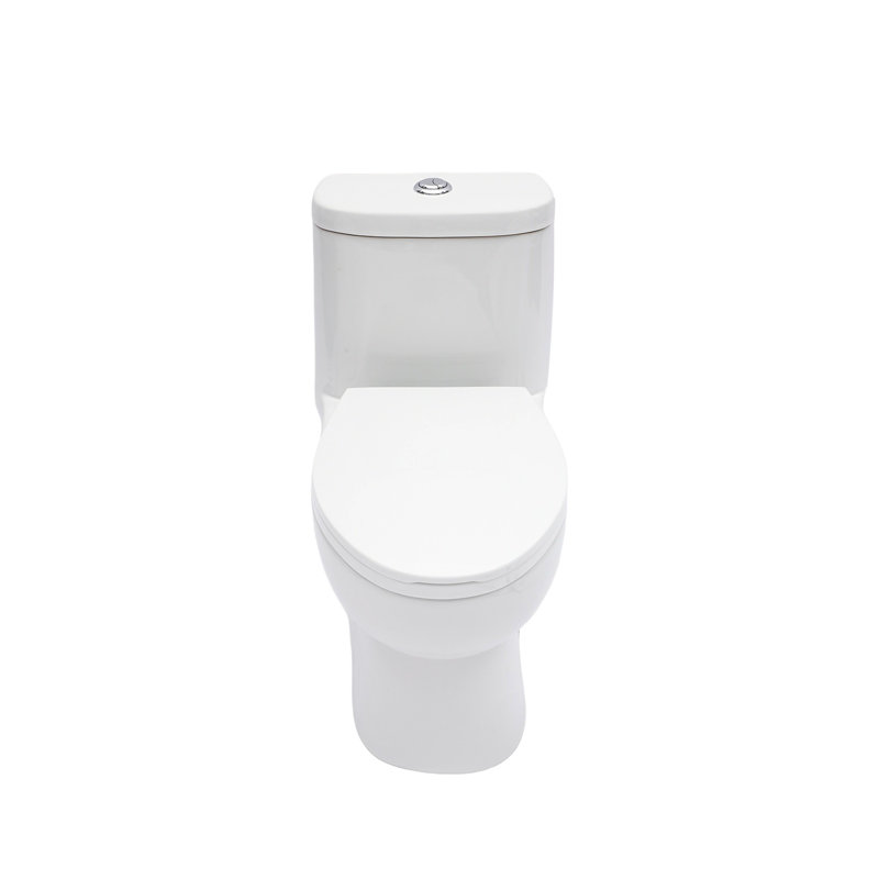 Ceramic One Piece Toilet For Bathroom, 12-Inch Rough-In, 1.1/1.6 GPF, Dual Flush With Soft Clsoing Seat, Powerful Dual Flush MAP 800G