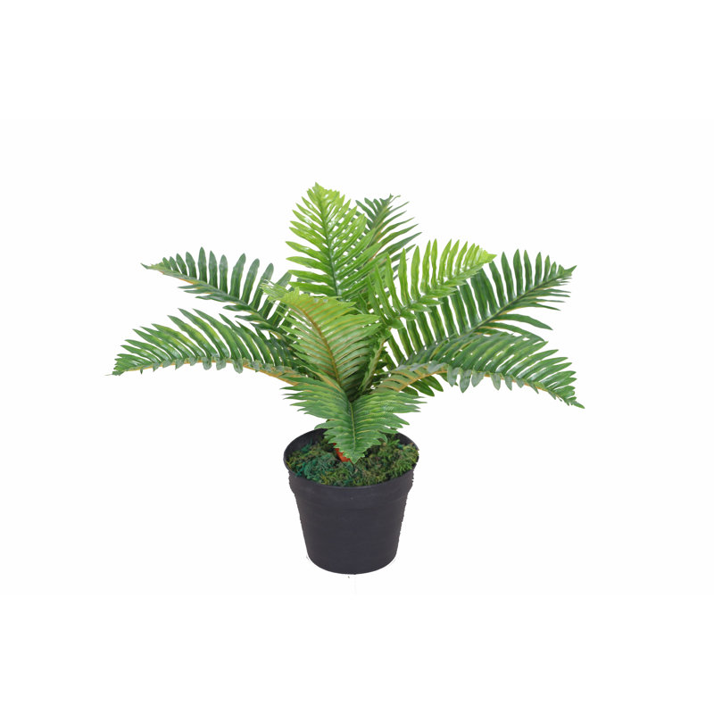 Faux Palm Plant in Pot, 50"H x 50"W