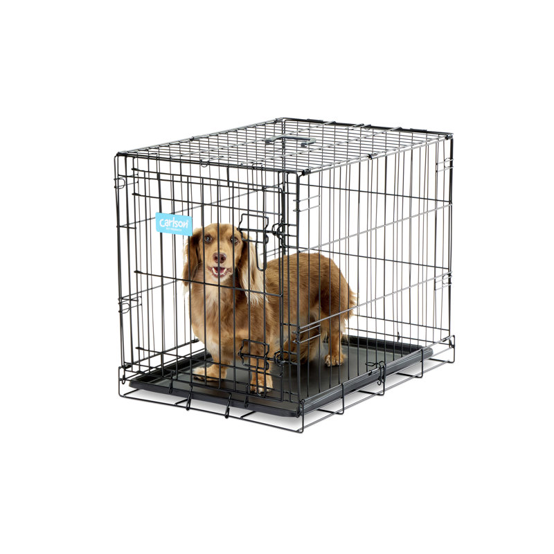 Small Black Foldable Metal Dog Crate with Tray