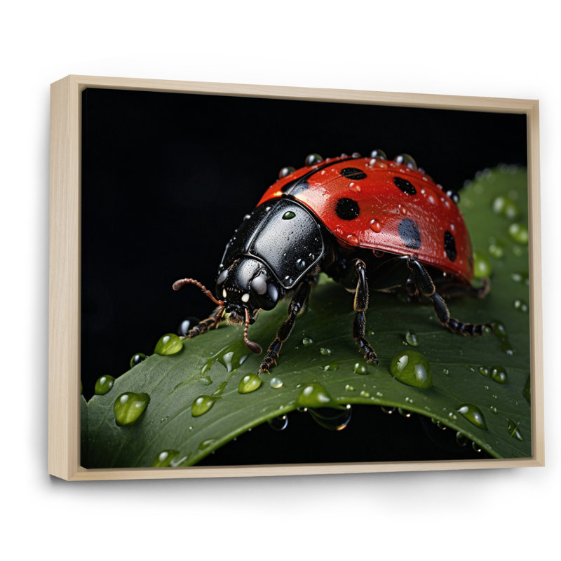Red Ladybug Portrait I - Animals Wall Art Living Room, H 34 po x l 44 po x P 1,5 po, Cadre naturel flottant