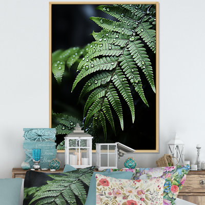 «Wonderland Ferns In Green World VI», reproduction sur toile