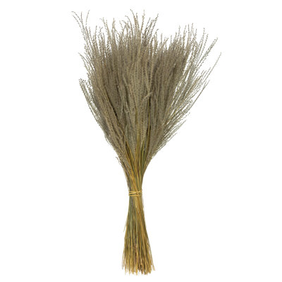 0.125'' Grass