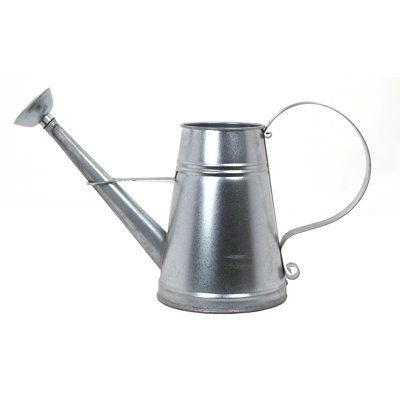 Enameled Galvanized Steel Watering Can Vase 1 Gal.