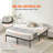 Tesfai 14'' Steel Platform Bed-867532885-823876193