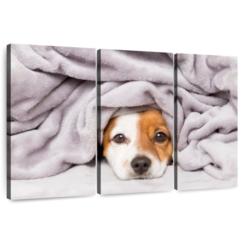 Brampt Blanket Bundled Dog, 24" H x 38" W