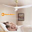Ventilateur de plafond moderne à 3 pales avec télécommande Nicola-93333243