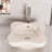 The Renovators Supply Inc. 17 " Vitreous China Specialty Bathroom Sink and Overflow Hole-46967768