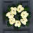 24" Cream Magnolia Wreath
