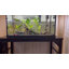 Support d'aquarium à cadre en métal 40 gallons avec armoire de rangement, aquarium avec support pour accessoires