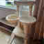 Customer photo 2 of 2