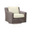 Rustic Swivel Patio Chair with Cushions-1006087965-1034178337-1008468430