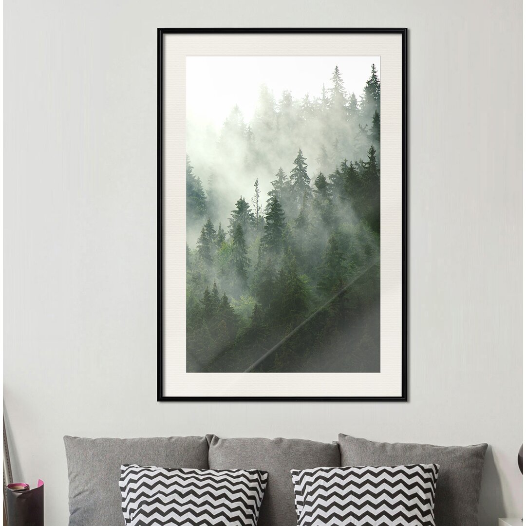 Gerahmtes Poster Steaming Forest