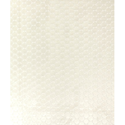 Ditty Fabric