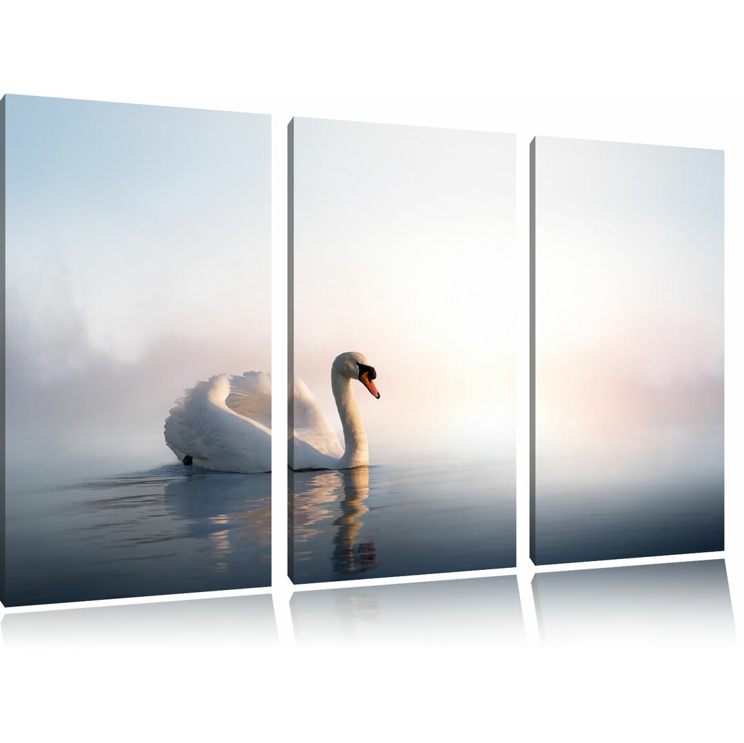 3-tlg. Leinwandbilder-Set „Traumhafter weisser Schwan im See“, Fotodruck