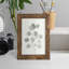 " Delicate Sage Botanical I "-414343440-414343450