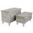 Ronkonkoma 2 Piece Accent Trunk Set