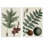 Ensemble de plaques murales «Tree Leaves & Nuts» par Graffi *ee Studios