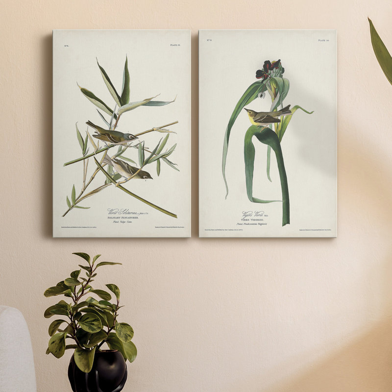 " Pl. 28 Vireo Solitarius " 2 - Pieces Painting Print, 48" H x 36" W x 1" D