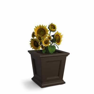 Anastassia Planter