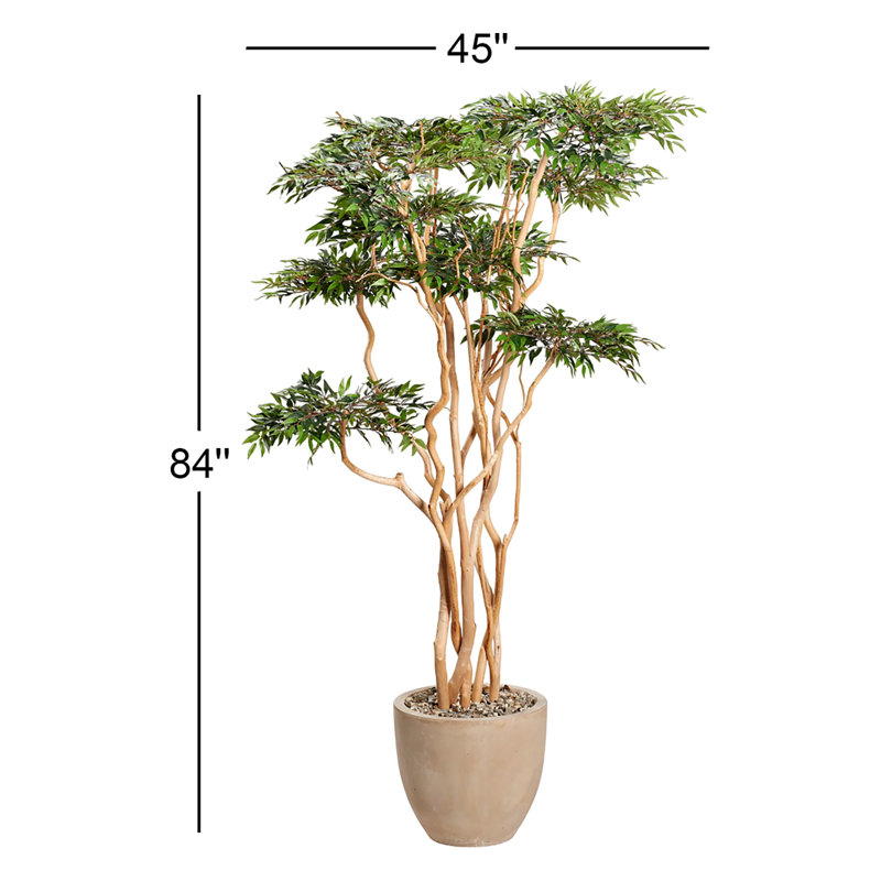 7' Sandblasted Ruscus in Grove Planter