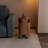 Solid Wood Stackable Stools with Non-Slip Foot Pads