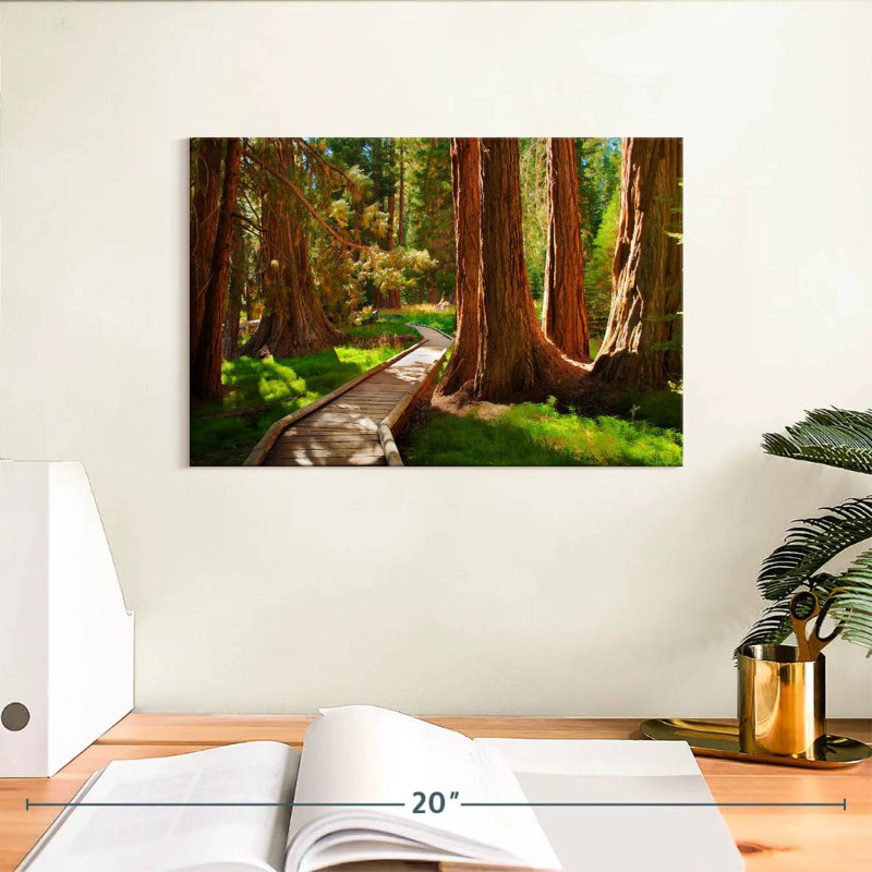 Alvord Reddish Sequoia Forest
