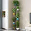 5 Tier Plant Stand