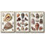 Ensemble de 3 cadres flottants sur toile-1855540832-1855540839